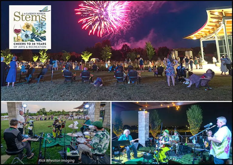 Carousel-2025-STEMS-Fireworks